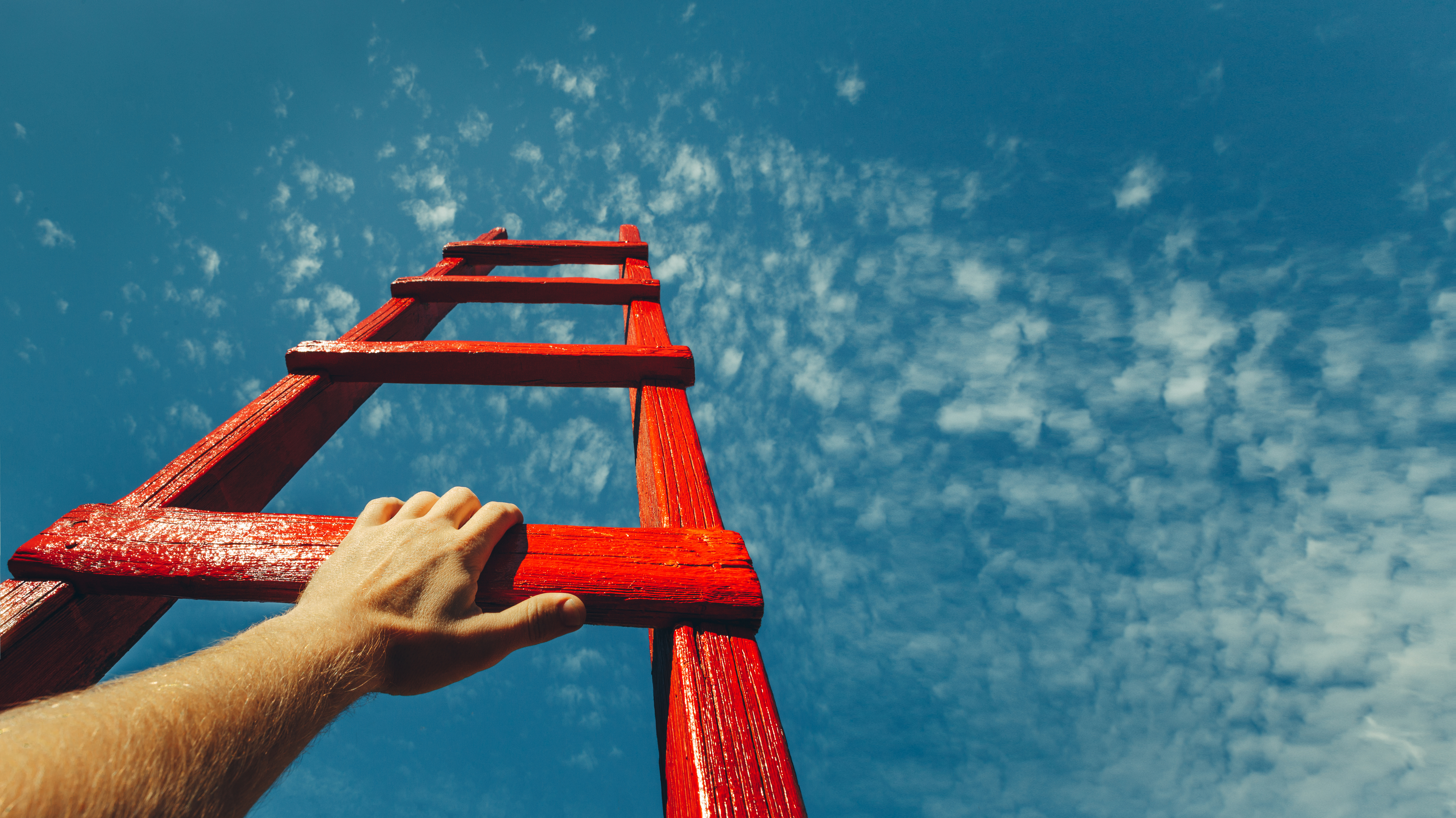 Ladder: groeien, klimmen