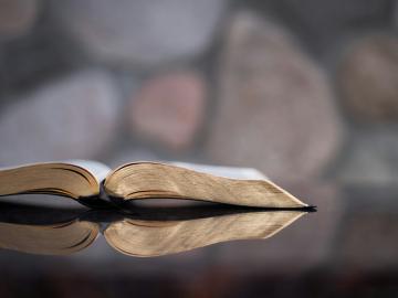Hoopvolle literatuur